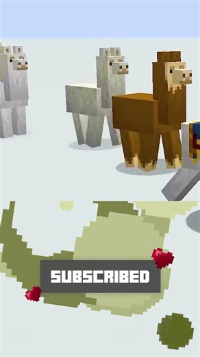 169 Secrets Minecraft is HIDING From You! ‪@Bubuplayz‬