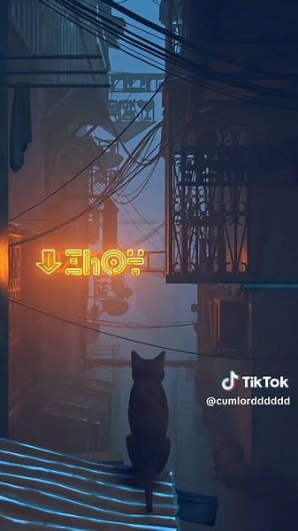 Stray Cats Live Wallpaper in 4K - HD Animal Wallpapers