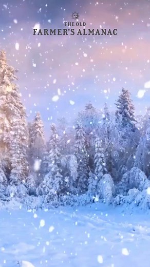 33K views · 449 reactions | A calmer, gentler winter is on tap for the 2024-2025 winter in the U.S. What does this mean specifically for your region? Find all the details about our winter forecast in the brand new, 2025 Old Farmer's Almanac, available at Almanac.com/Amazon-25 ❄️ | The Old Farmers Almanac | Facebook