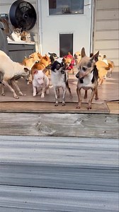 65K views · 7K reactions | Little Bill isn’t quite ready to tackle...