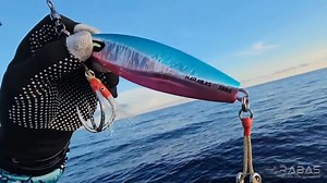 NEW ADVENTURE | HARABAS | Harabas