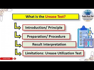 Urease Test | Bacterial identification technique #trending #bacteriology #microbiology
