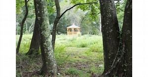 Memory Forest Expands into the Northeast with Prudence Memorial Park