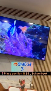 74K views · 959 reactions | مطعم السمك في المستوى جوده ممتازه Omega 3 place pavillon 92' Schaerbeek | Said sintro | Facebook