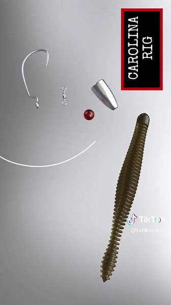 Mastering the Carolina Rig for Bass Fishing