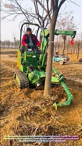 Tree Transplanting with Heavy Machinery 🌲🌳