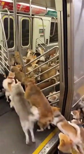 New Employees just going for job Interviews