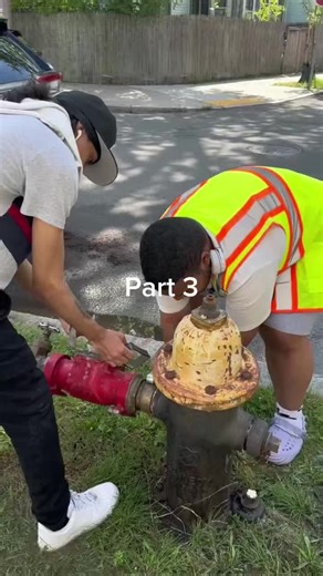 TreeBoston on TikTok