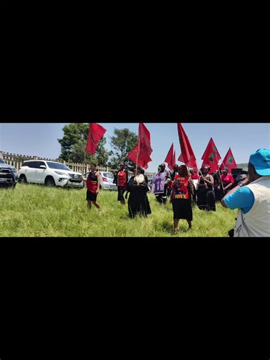 Understanding the Role of EFF in South African Politics