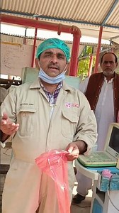 Cow PD with Ultrasound