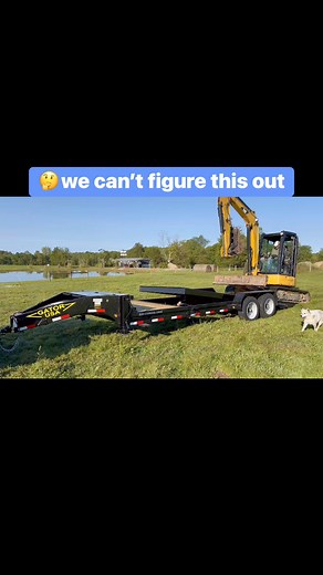 207K views · 312 reactions | Aardvarks are an uncompromising experience to operate. #GatorMade #gatormade #gatormadetrailers #tilttrailer #equipment #heavyequipment #equipmentoperator #constructionequipment #equipmenttrailer #catequipment #miniexcavator | Gatormade Trailers | Facebook