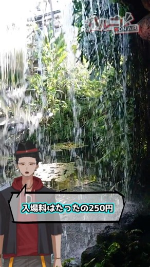 【あなたは知ってる？】都内にある熱帯植物館をご紹介！！