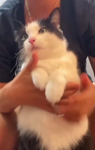 Hackneyed5 (@hackneyed5)’s videos with original sound - Hackneyed5