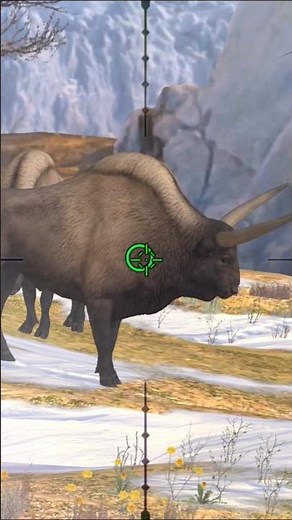 bison hunting gameplay #animals #hunting #sniper #huntingchannel #youtubeshorts #shortfeed #shorts