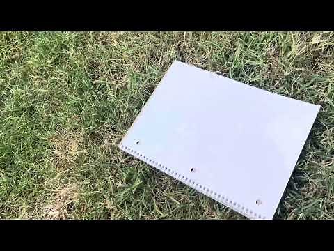 How to Identify Bermuda Mites: Step-by-Step Lawn Inspection Guide