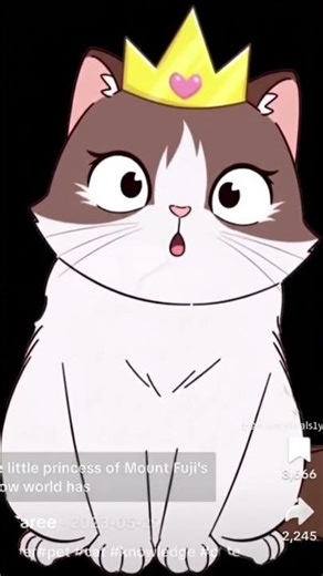 Ragdoll Cat Farting Bomb