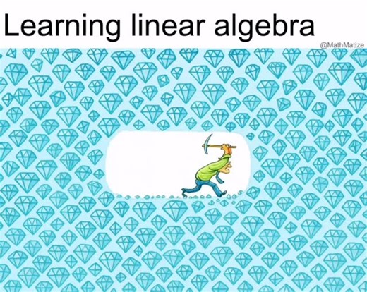 MathMatize | It’s a diamond mine #math #mathmemes #stem #mathematics #mathematician #physicsmemes | Instagram