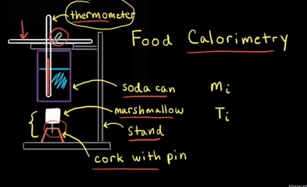 Worked example: Measuring the energy content of foods using soda-can calorimetry