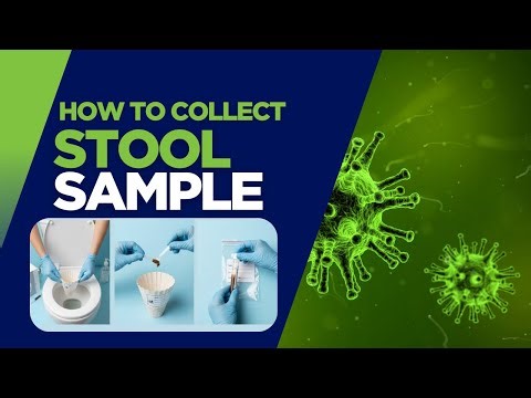 Gut Microbiome Test | How to Collect Stool Sample at Home (Step-by-Step Guide) Healing Hands Clinic