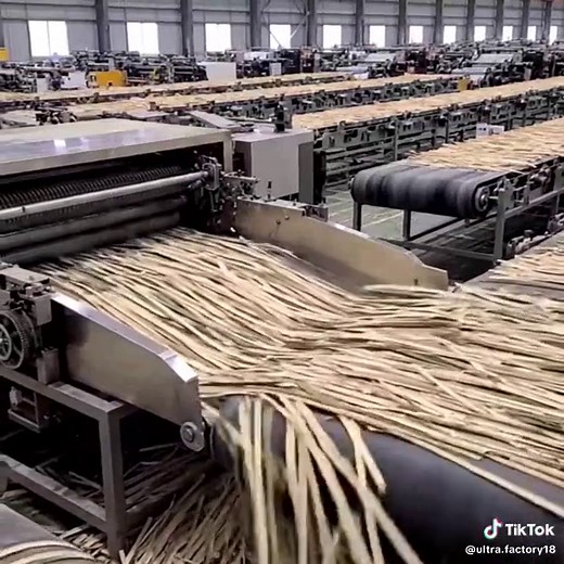 Exploring a High-Tech Bamboo Processing Factory