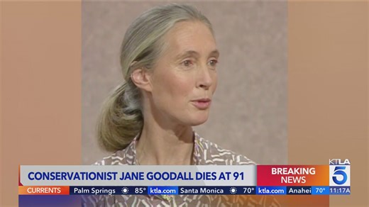 Jane Goodall, legendary chimp expert, dead at 91