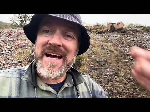 How are Greenland Trees doing after 5 years?