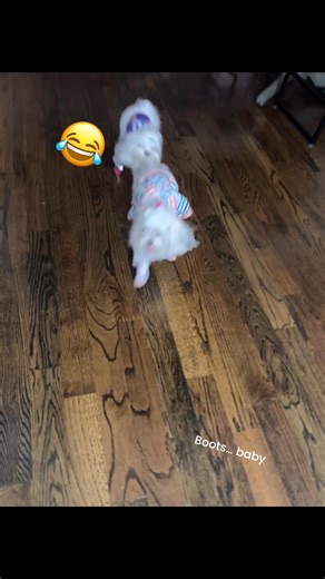 Boots. | Candice Dawn Alexander