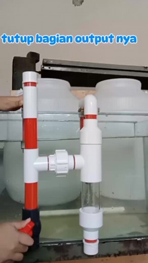 Cara Memasang Overflow pada Aquarium: Panduan Lengkap
