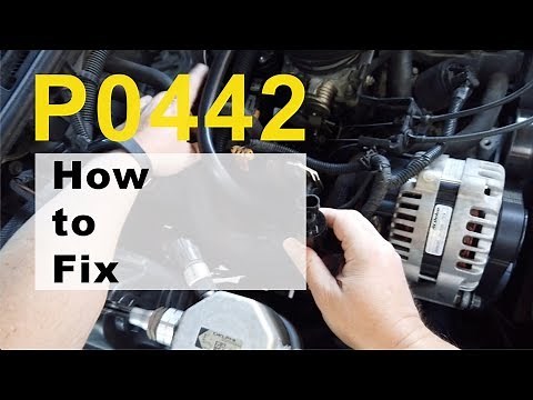 Evap Purge Valve P0442 Code for Chevy S10 ZR2.