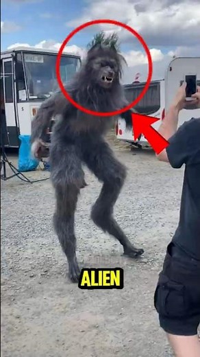 TOP 5 SHOCKING CREATURE PHENOMENA THAT DEFY SCIENCE 😱🌍#ShockingDiscoveries #mysteryshorts