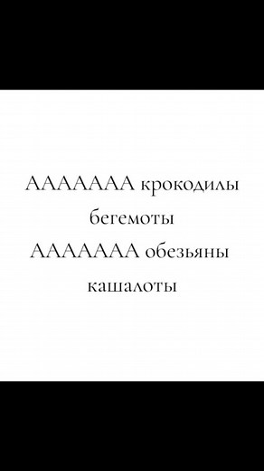 Funny Animal Compilation TikTok Video