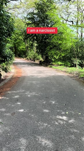 Understanding Narcissistic Behavior: Key Differences and Behaviors