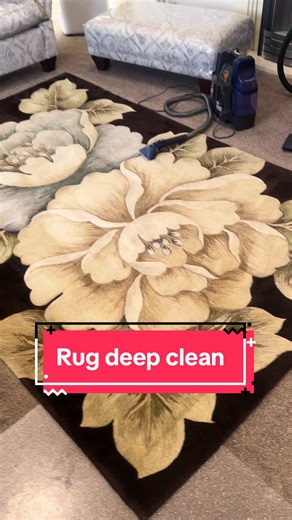 Shannon ⚜️ on TikTok