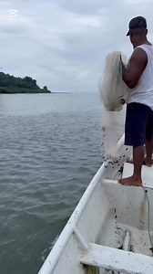 reel ## pesca con atarraya | Pesca artesanal tumaco nariño