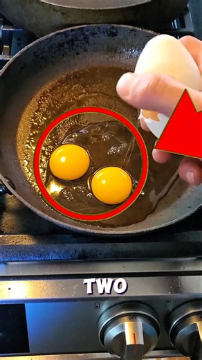 You Won't Believe What's Inside This Egg!