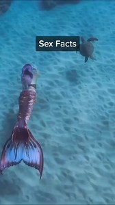 68K views · 717 reactions |  Spice Up Your Love Life with Our...