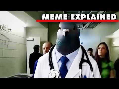 The Pigeon Doctor Meme and Origin Explained