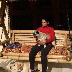 12K views · 131 reactions | Pet home boarding ❤ | Pet Home Boarding | Facebook