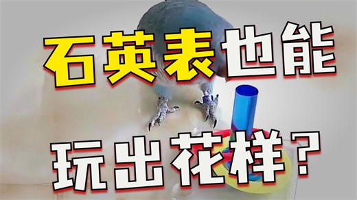 【手表推荐】卡西欧（CASIO）EDIFICE EFR-303系列男士手表 经典时尚防水平价商务腕表 休闲与型格的完美融合