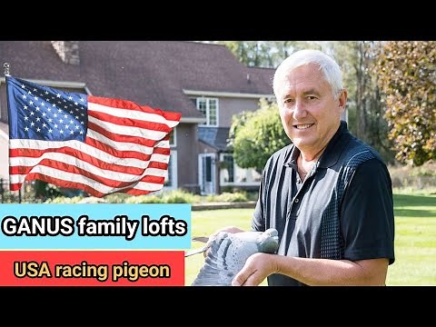 "Ganus Family Racing Pigeon Loft Tour 🇺🇸 | Inside America's Top Loft!"