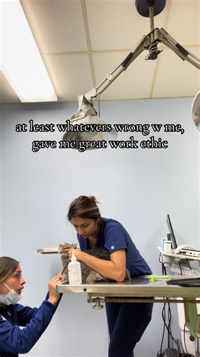 Embracing Resilience in Veterinary Medicine