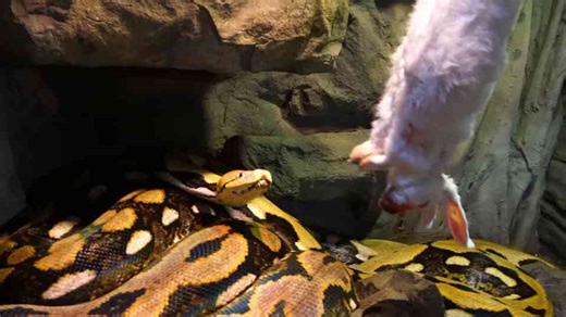 Coming clean about my health!