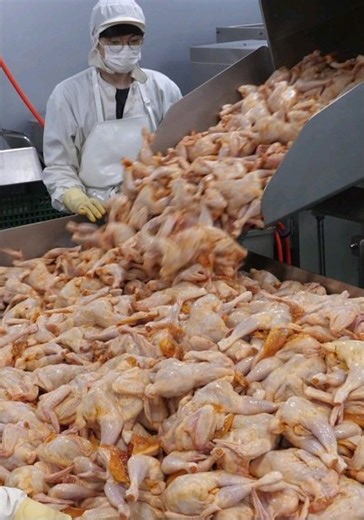 FOOD on Instagram: "The busiest place in Korea! Chicken processing plant #Shorts"