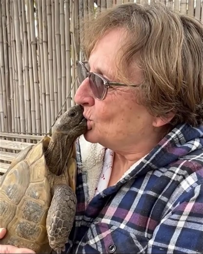 5.7K views · 107 reactions | Some soulmates walk in as people. Some...