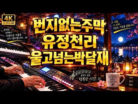 추억의 전자올겐 경음악｜번지없는주막·유정천리·울고넘는박달재｜정석정 연주