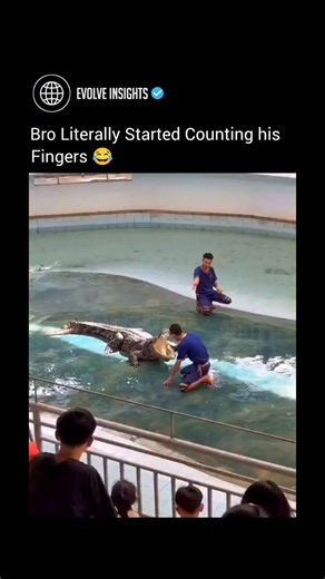 Evolve Insights | It was meant to be just another jaw-dropping stunt — a man, a massive crocodile, and a crowd hungry for danger. 1. A seasoned handler... | Instagram