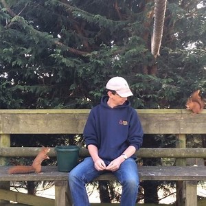 5.6K views · 441 reactions | Day 90 of BWC Shutdown - A morning spent with our red squirrels, what a life!  We have about a dozen reds in our walkthrough, and I think I had 8 of them join me at some stage while I took 10 minutes out the day to just rest a bit. Don’t worry, the clips not that long  just a minute of squirrel action for you 邏 | British Wildlife Centre | Facebook