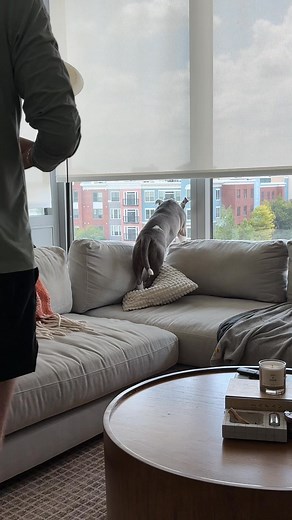 #ad Trying out the @hims Thick Fix System! Check them out at @target and let me know what you think! #himsAtTarget | Tyler Hayek