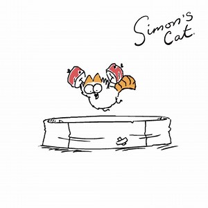 502K views · 10K reactions | Did you know that Turkish Vans have a water resistant coat and enjoy being in water?!   Find out more on cats and water in our latest Simon's Cat Logic video: https://youtu.be/_VB6go-j0yE | Simon's Cat | Facebook