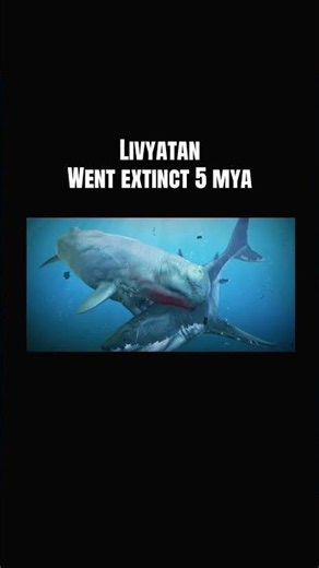 Animals you’re glad are extinct 😰